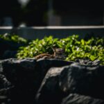 Plan de campanie cu advertoriale în 2025: câte, unde și când le publici